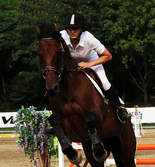 �R�g���籭27�����_�Ļ ����������Ƽ�����