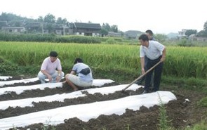 ���rίץס������� ���rָ���r��ķN(�D)