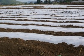 ���rίץס������� ���rָ���r��ķN(�D)