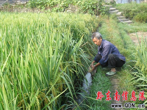 ��ɽ�r���M�п����Ծȴ_���Zʳ���գ��D��