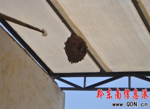 �R��C�����U�� �어�ꠞ����