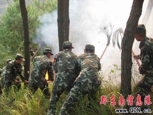 ɽ��͵�u������ ���Ӿ����֊^�����(�D)