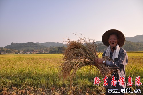 �����ٮ�������ˮ�ϲ�@�S�գ��M�D��