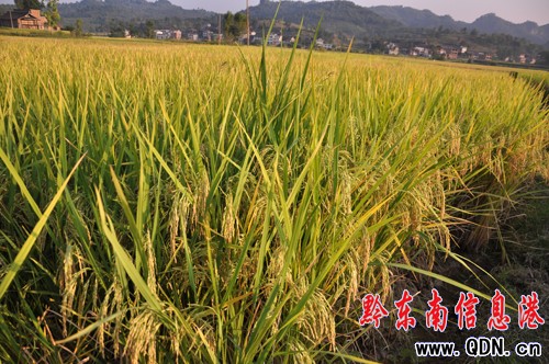 �����ٮ�������ˮ�ϲ�@�S�գ��M�D��