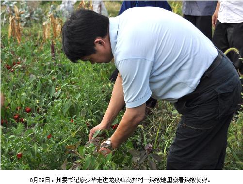 �����A����կ�z��ָ�������ȞĹ���