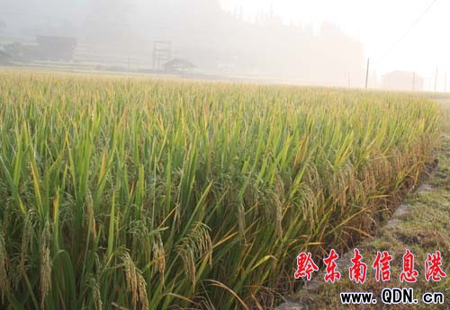 �\���h8�f���еͮa���S���������D��