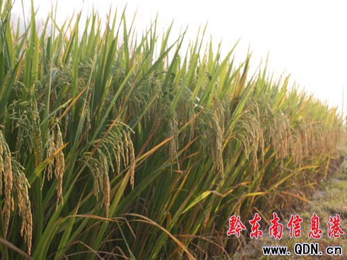 �\���h8�f���еͮa���S���������D��