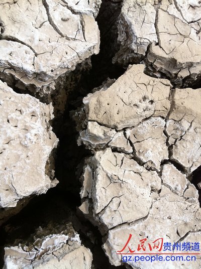 麻江旱情嚴(yán)峻 抗擊天災(zāi)百姓不放棄(圖)