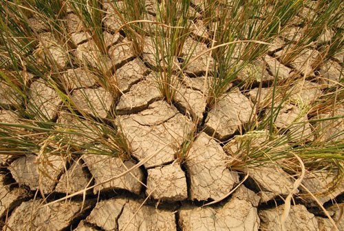 ǭ�|�Ϻ���ӄ���������w���o�գ��M�D��