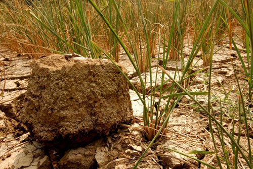 ǭ�|�Ϻ���ӄ���������w���o�գ��M�D��