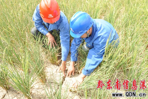 ���ɺ����ڳ��m���Sƽ����ڈ��أ��D��