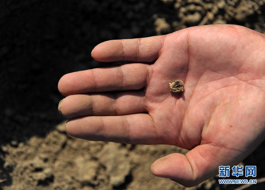 �V������������B���Zʳ�^��