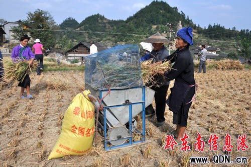 ���ղ����ո�æ �s��ķNץ���գ��D��