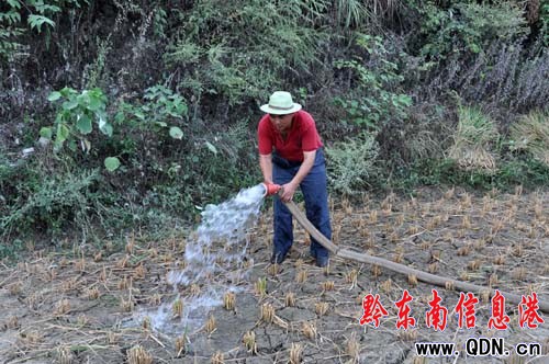 ���ղ����ո�æ �s��ķNץ���գ��D��