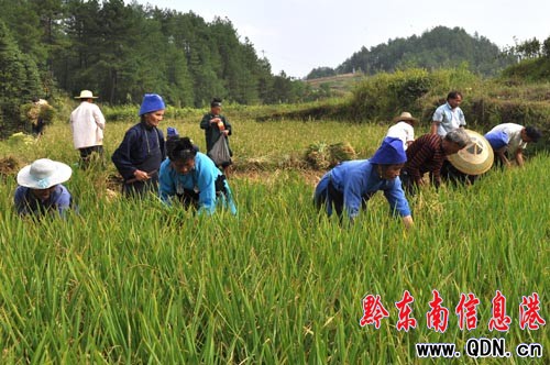 ���ղ����ո�æ �s��ķNץ���գ��D��