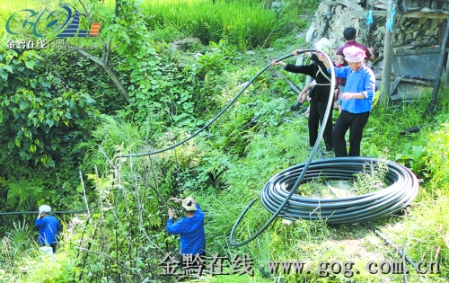 臺江干群齊心協力抗大旱(圖)