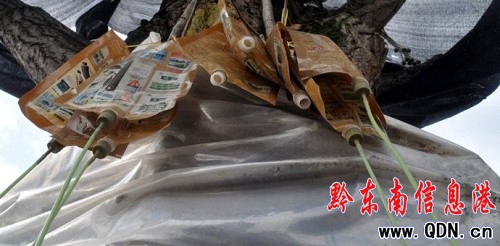 �P���կ�����y��