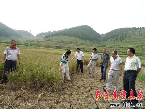 岑鞏縣非公人士積極捐贈錢物抗大旱