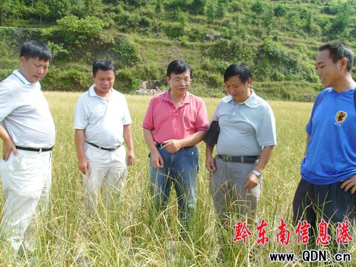 ����¸����L���Sƽ�h��ƺ�lҕ�캵��