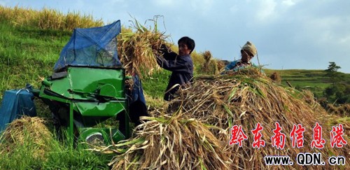 �F������ɽԭʼɭ�־Ȼ�6000��ˮ�����D��