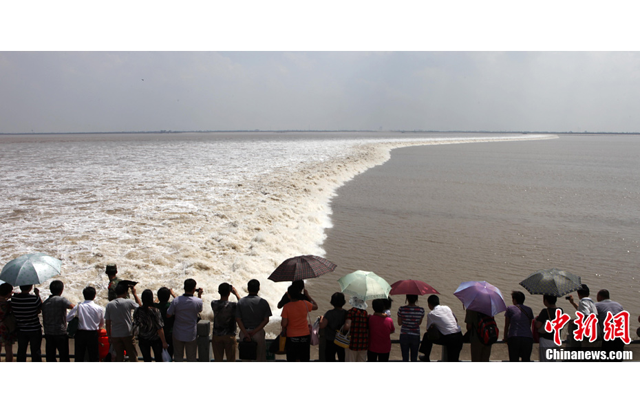 錢塘江大潮現“一線橫江”奇觀