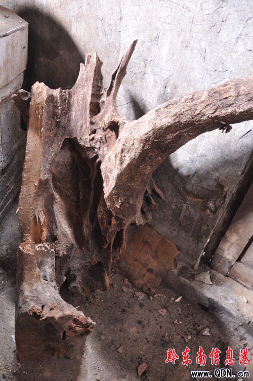 農民掘地尋古井 驚現宋代酒盞碗(組圖)