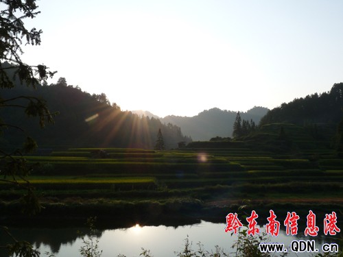 ǭ�|���l�壺̎̎������ �����ԈD�����M�D��