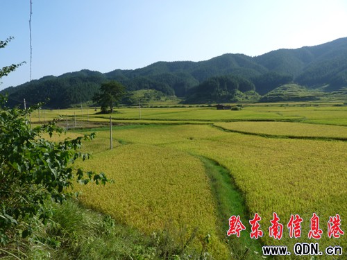 ǭ�|���l�壺̎̎������ �����ԈD�����M�D��