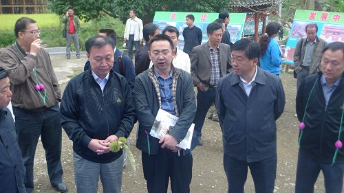 ����(li��n)�Ϲ����M�����_���h���m���{��(�D)