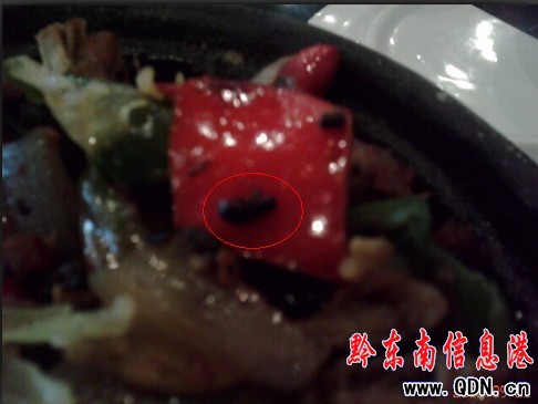 顧客午餐吃出蒼蠅 店家稱此類現象難以避免