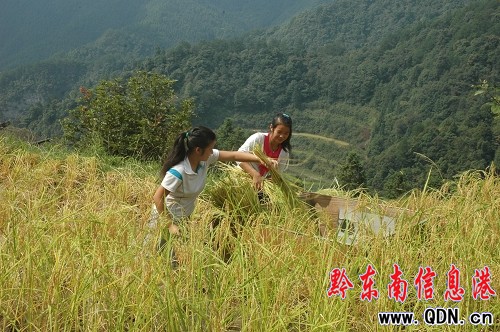 ��ƽ���f��������С�W�������p�����ո��