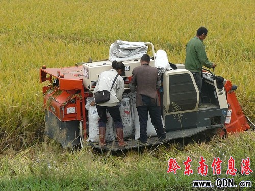 �얿h�h�T�ɲ����r֧�r���յ���æ���D��