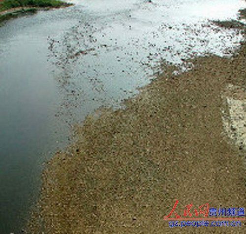 貴州省黔東南州1890座水庫山塘干涸(圖)