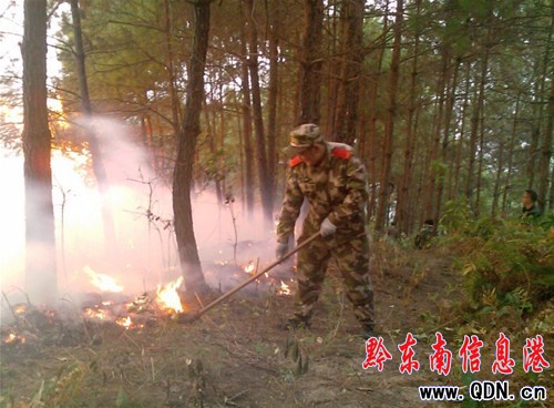 �������ɽ����Ű �_���ɲ��T�ֳɹ����