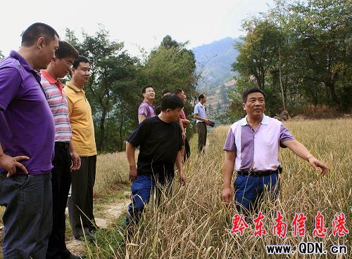 ����һ�l�� �����Ȟ����Єӣ��D��