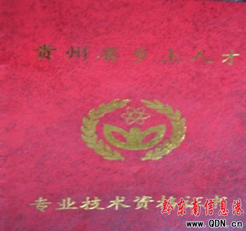 �����y�������� ��ˇ�g(sh��)Ʒ�l(f��)�P�����Ļ�(�D)