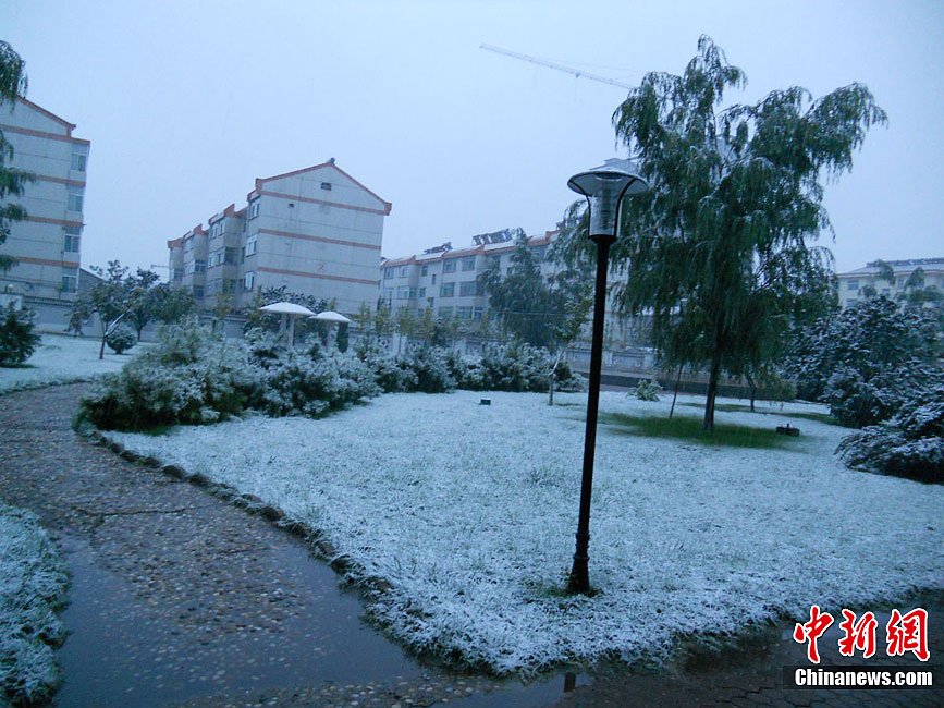 ɽ����혾����wѩ����ӛ�d60��һ��