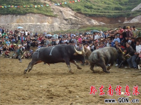 �Ї���ꖹ�ţ������ِ�ڄP�����Ø���Ļ