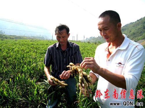 �r�������N����С�S�����Ռ������fԪ(�D)