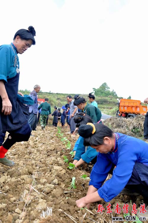 ��կ�h����Ⱥ����Næ���M�D��