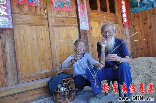 三穗水稻又有新發現 意外發現