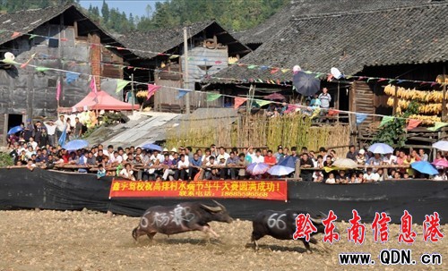 ��կ�h��Ȫ悸���ˮ��Ⱥ���g�c�˹�