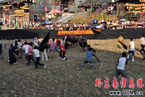 ��կ�h��Ȫ悸���ˮ��Ⱥ���g�c�˹�