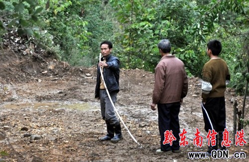 “運礦路”讓 村民的林地被剃頭(圖)