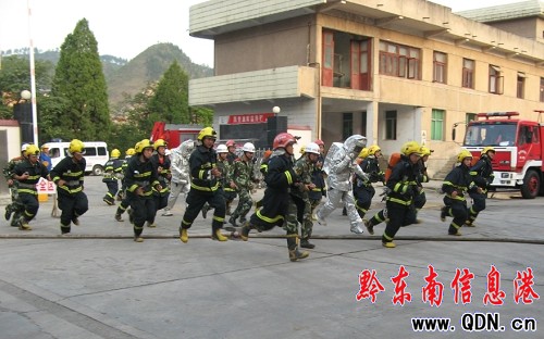 ������֧�����ʯ���P���͎��e������