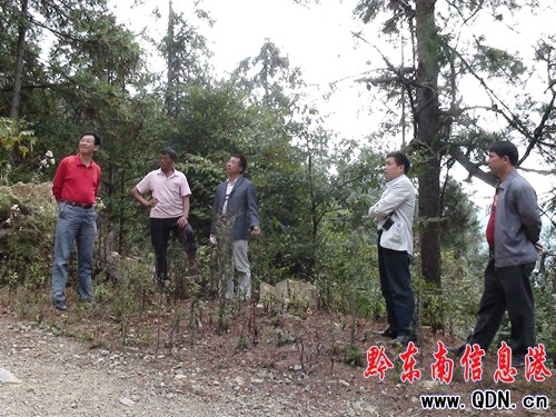 ʡ��ί����h�h��կ�������l�M�п��졢�{��