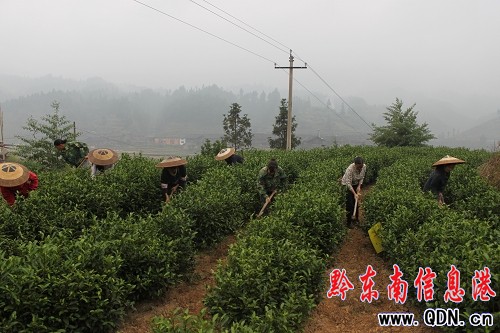 Ů������B������ƽ�ײ��~�a(ch��n)�I(y��)�l(f��)չ��߅��