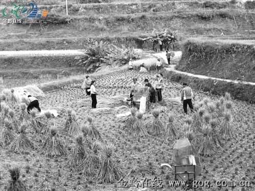 ��ɽ�h�r�񌣘I���ո���������g���D��