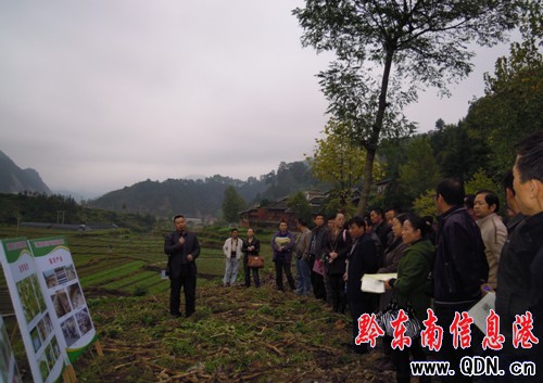 �P�����_�ﶬ���r�I���a���Y���{���������h