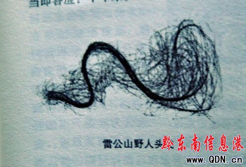 探尋野人20年 《秘境探秘》講述野人生活狀況